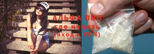прущие грибы Аркадак