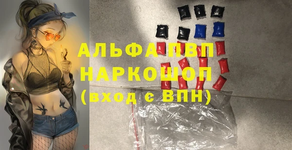 хмурый Арсеньев