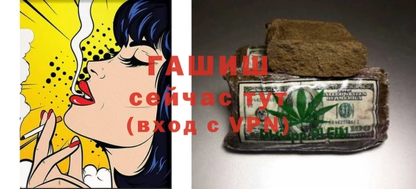 хмурый Арсеньев